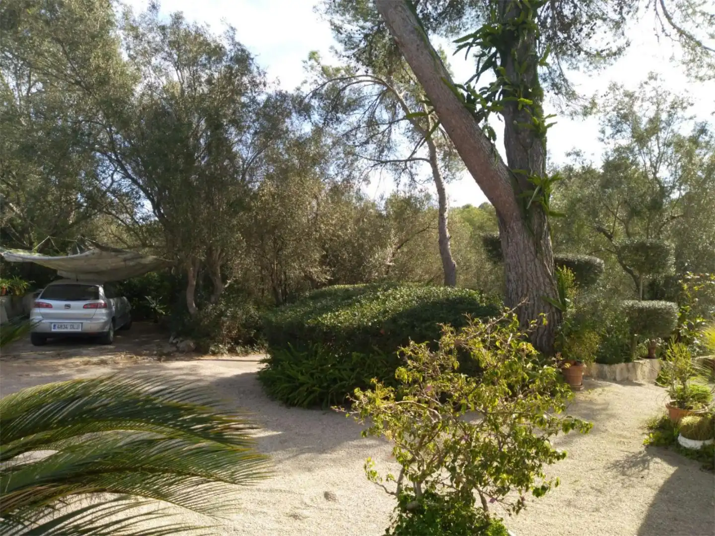 Jardí de Casa o xalet en venda en Algaida amb Terrassa i Piscina
