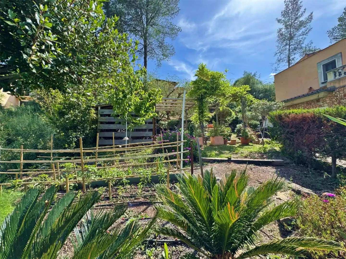 Jardí de Casa o xalet en venda en Puigpunyent amb Terrassa, Piscina i Balcó