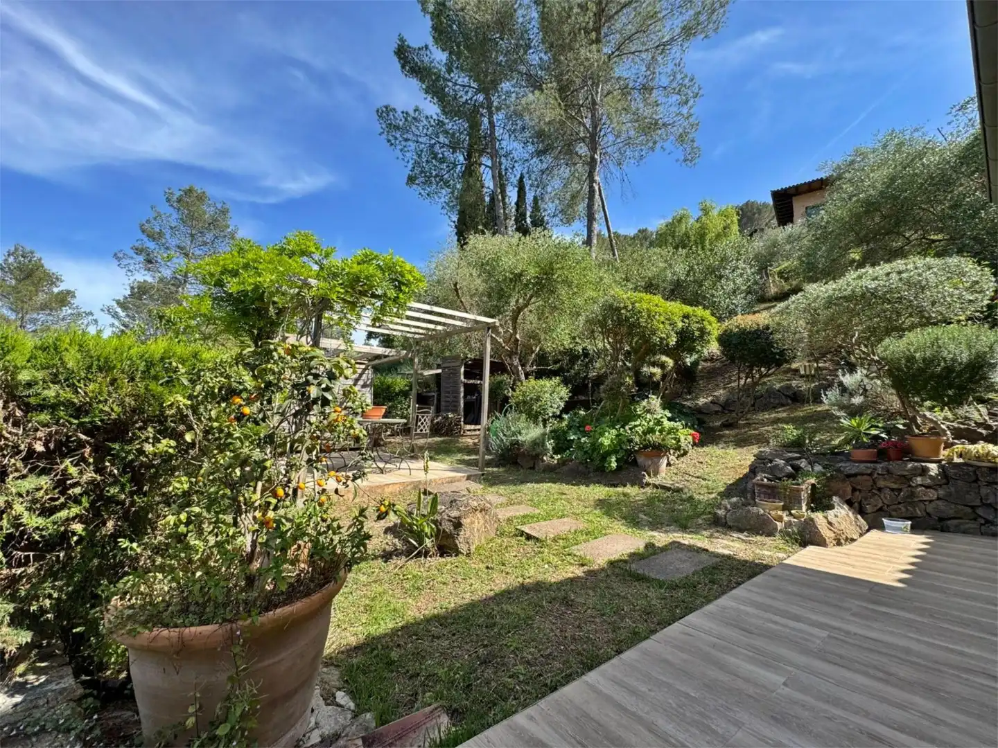 Jardí de Casa o xalet en venda en Puigpunyent amb Terrassa, Piscina i Balcó