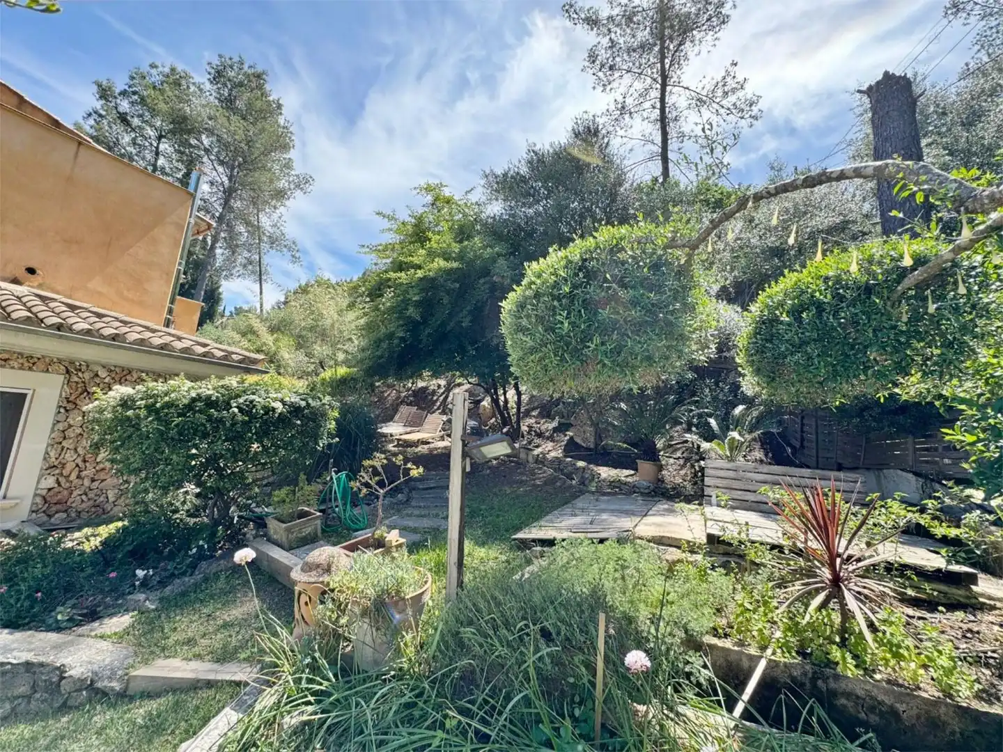 Jardí de Casa o xalet en venda en Puigpunyent amb Terrassa, Piscina i Balcó