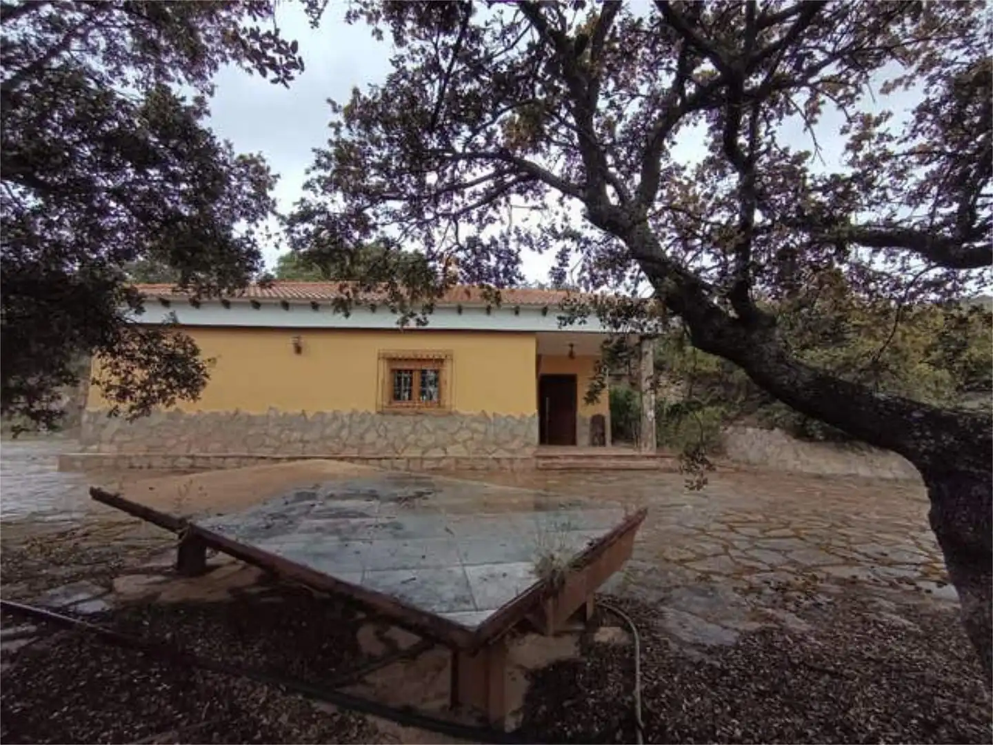 Vista exterior de Casa o chalet en venta en Fines con Terraza y Amueblado