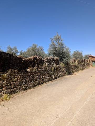 Terreno en Venta en Calle Villa del Campo, 10 en Pozuelo de Zarzón