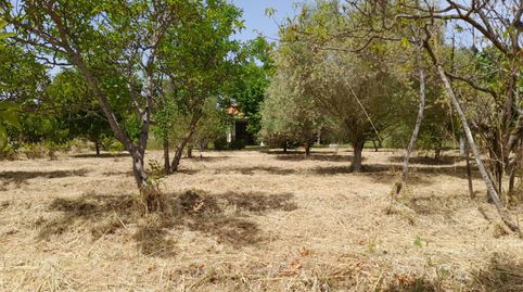 Foto 4 de Finca rústica en venta en Camino de Pastoriza, 8, Sangüesa / Zangoza, Navarra