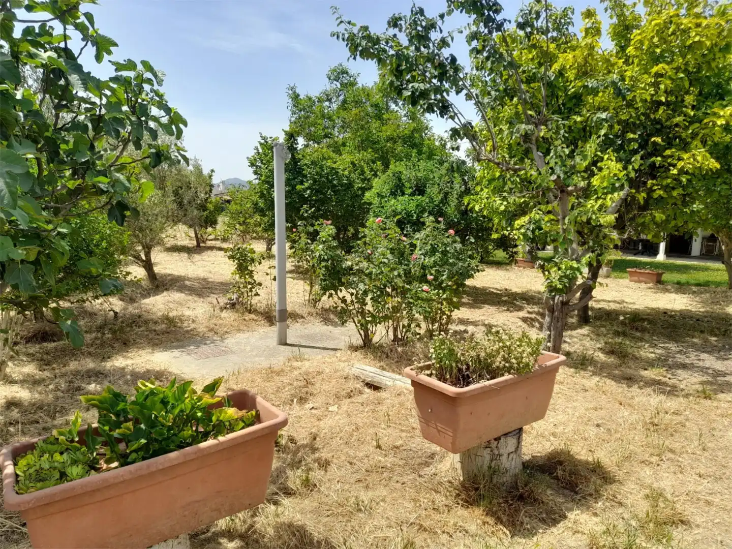 Country house zum Verkauf in Sangüesa / Zangoza mit Privatgarten, Terrasse und Abstellraum