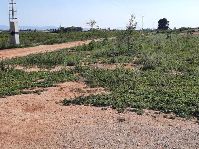 Finca rústica en Venta en Diseminado Finca Tres Molinos, 2 en La Torre Golf