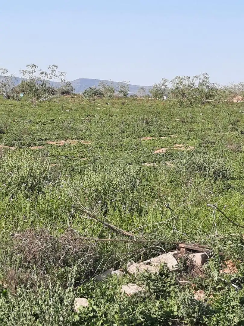 Country homes for sale in Diseminado Finca Tres Molinos, 2, La Torre Golf Country homes for sale in Torre-Pacheco