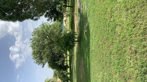 Foto 5 von Country house zum Verkauf in Calle San Pablo, 4, Valdetorres, Badajoz