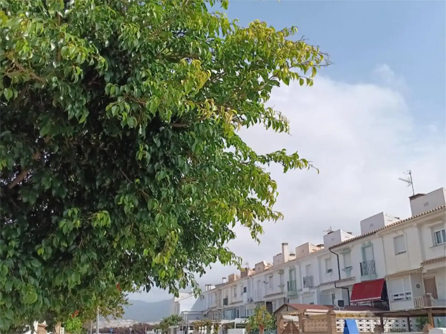 Vista exterior de Pis en venda en Vélez-Málaga amb Aire condicionat, Calefacció i Jardí privat
