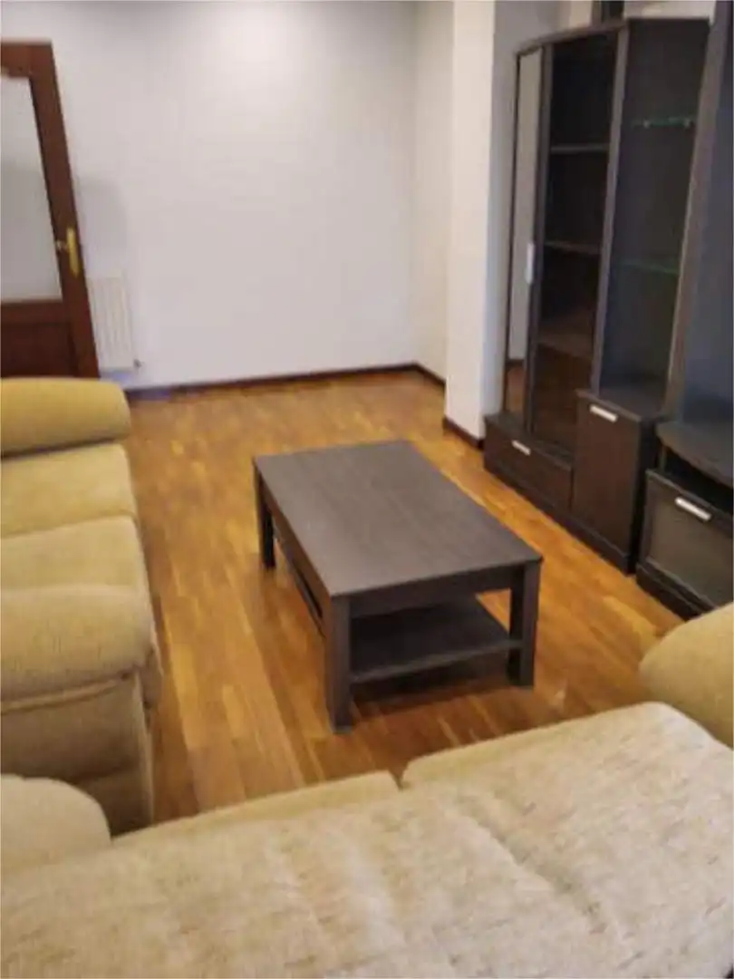 Sala d'estar de Pis de lloguer en Oviedo  amb Calefacció i Traster