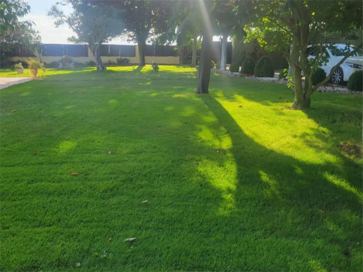 Casa o chalet en venta en Castellanos de Villiquera con Terraza y Piscina