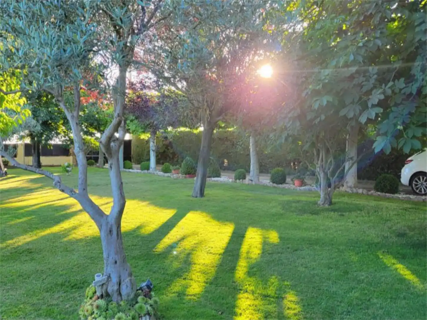 Jardín de Casa o chalet en venta en Castellanos de Villiquera con Terraza y Piscina