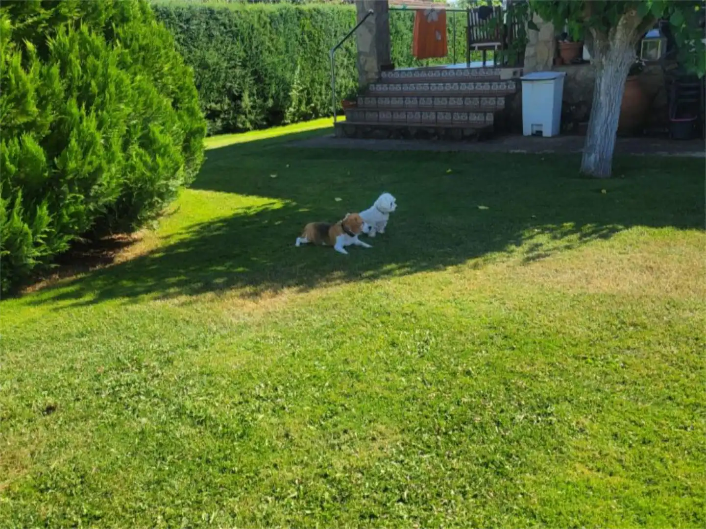 Jardín de Casa o chalet en venta en Castellanos de Villiquera con Terraza y Piscina