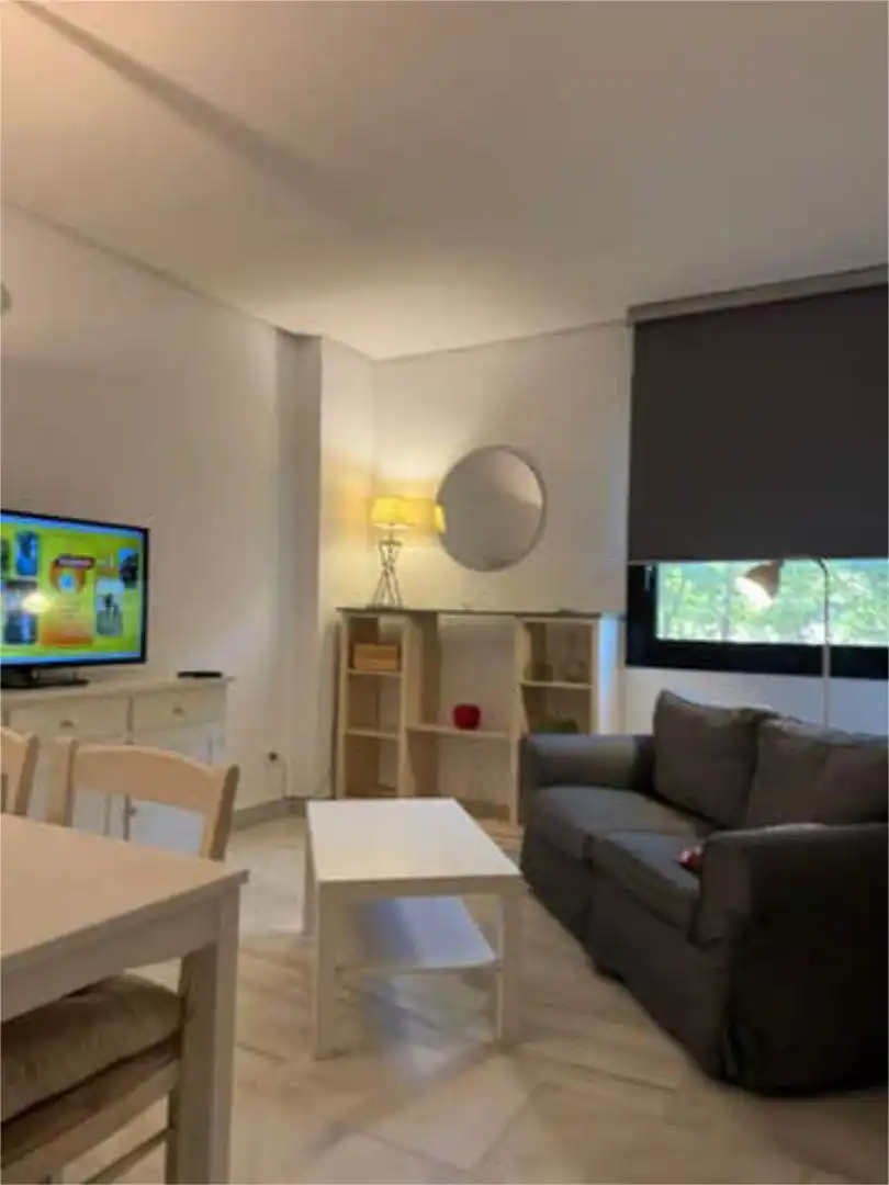 Sala d'estar de Apartament de lloguer en  Sevilla Capital amb Jardí privat, Piscina i Moblat