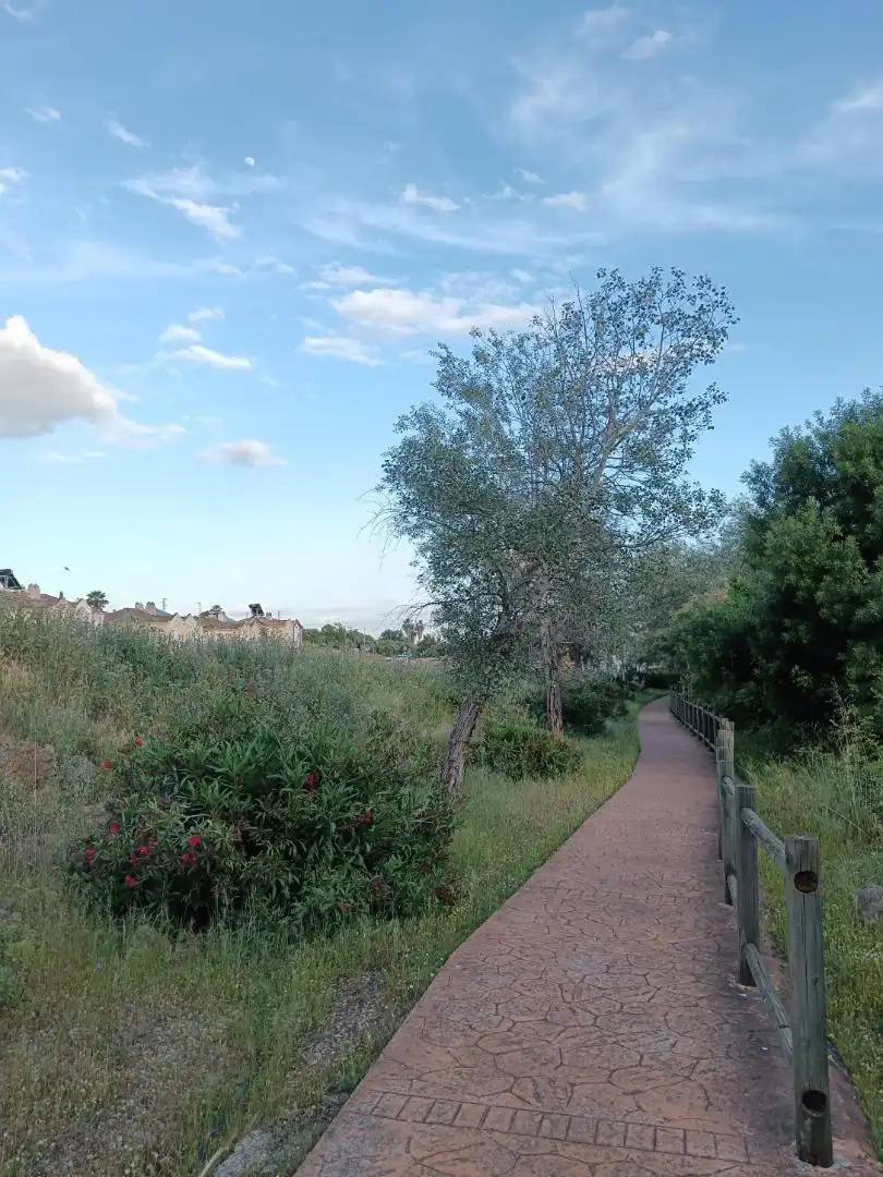 Vista exterior de Casa o xalet en venda en  Córdoba Capital amb Terrassa, Piscina i Balcó