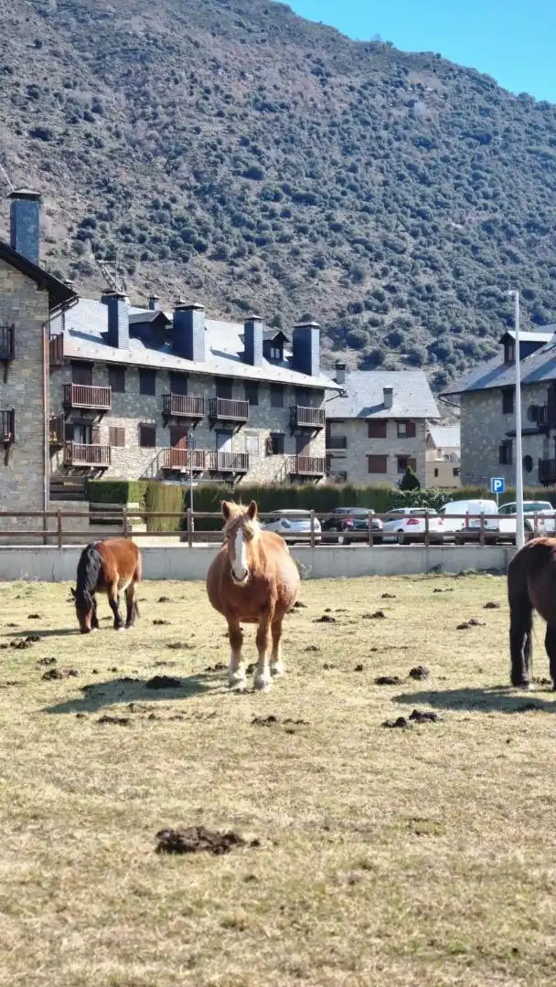 Pis de lloguer a Plaça de l'Areny, 16, Esterri d'Àneu Vista exterior de Pis de lloguer en Esterri d'Àneu amb Calefacció, Jardí privat i Parquet