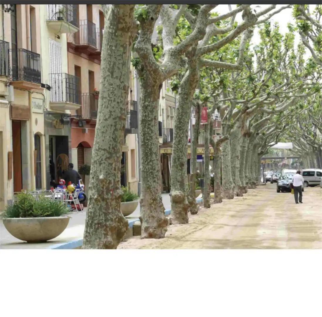 Wohnung zur Miete in Avinguda Sant Jordi, 121, Arenys de Munt