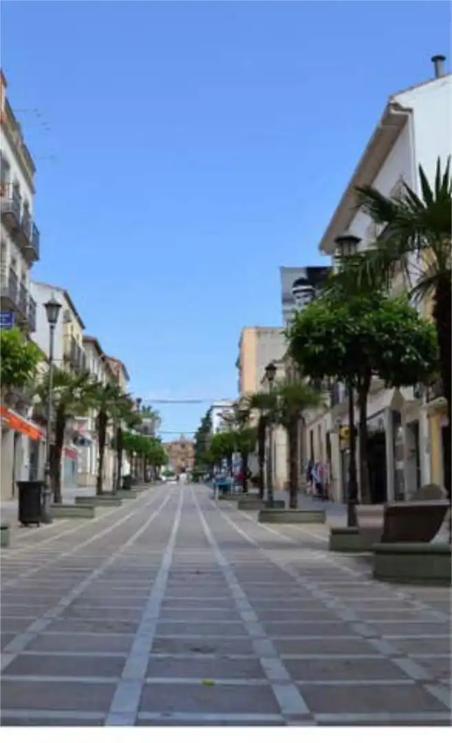 Vista exterior de Piso en venta en La Carolina con Calefacción, Trastero y Amueblado