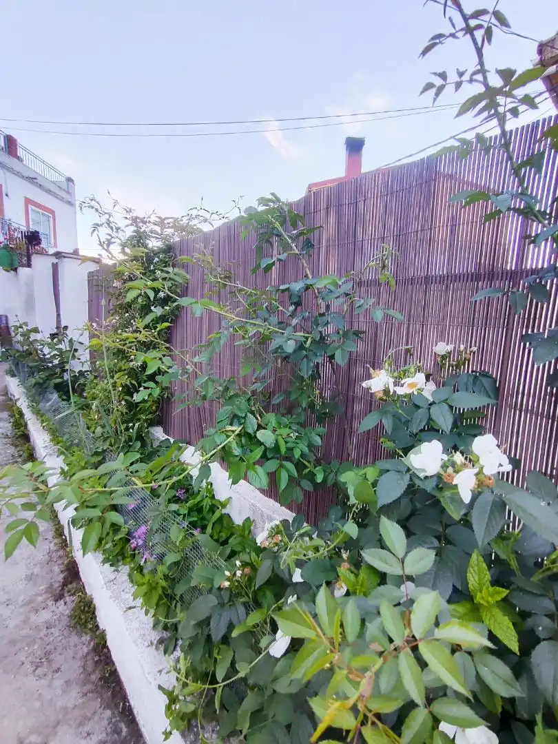 Casa o xalet en venda a Calle Juan II, 8, El Tiemblo Jardí de Casa o xalet en venda en El Tiemblo amb Aire condicionat, Terrassa i Balcó