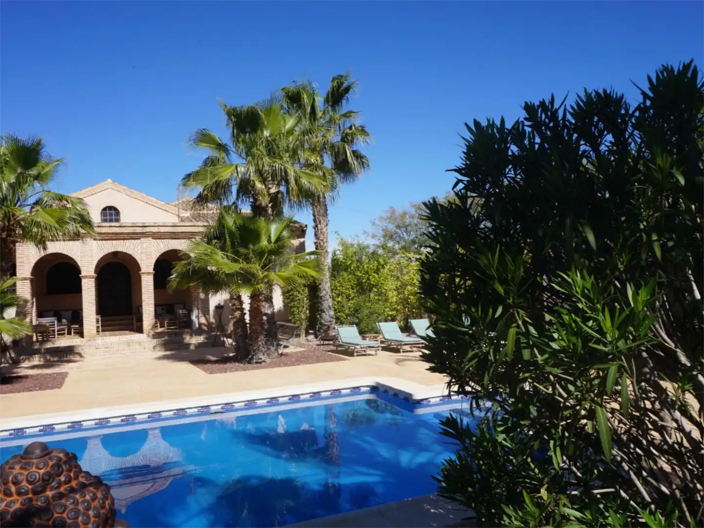 Garden of Country homes for sale in Elche / Elx  with Air Conditioner, Terrace and Swimming Pool