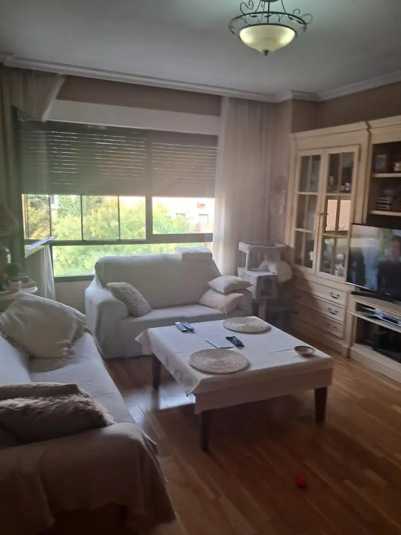 Sala de estar de Piso en venta en Madrid con Aire acondicionado, Calefacción y Parquet