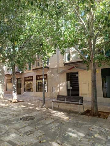 Piso en Alquiler en El Sindicat