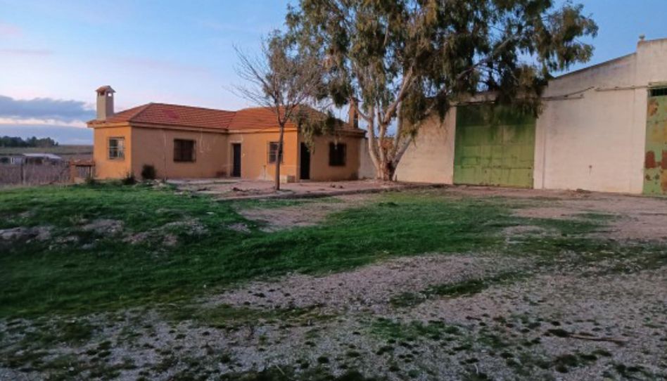 Casa o chalet de alquiler en Cr-624, 1, Valdepeñas, Ciudad Real - imagen 1 Foto 1 de Casa o chalet de alquiler en Cr-624, 1, Valdepeñas, Ciudad Real