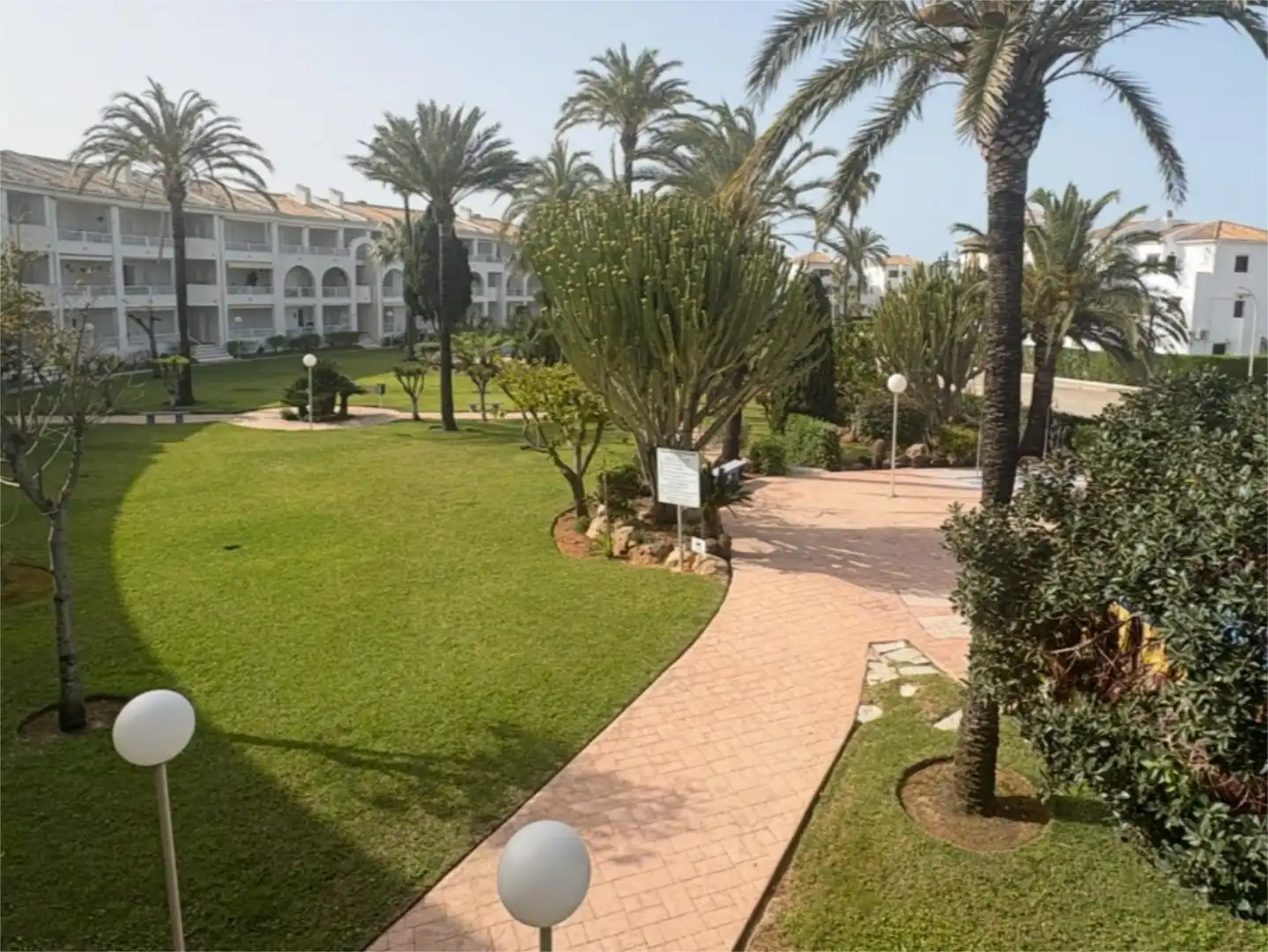 Wohnungen zum Verkauf in Calle Pau de Sant Leocadi, 32, Oliva Nova Garten von Wohnungen zum Verkauf in Oliva mit Terrasse und Schwimmbad