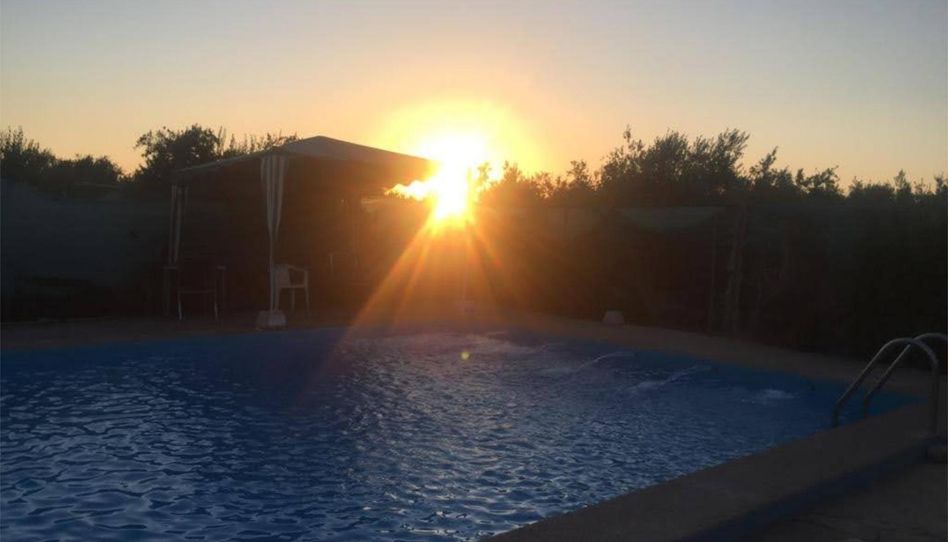 Finca rústica en venta en Calle Este, 23a, Écija, Sevilla - imagen 1 Foto 1 de Finca rústica en venta en Calle Este, 23a, Écija, Sevilla
