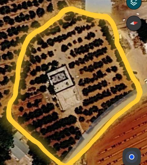 Finca rústica en venta en Calle Este, 23a, Écija, Sevilla - imagen 2 Foto 2 de Finca rústica en venta en Calle Este, 23a, Écija, Sevilla