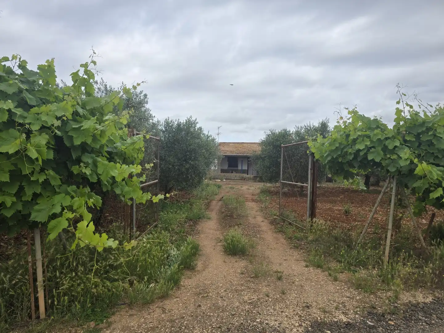 Finca rústica en venta en Calle Este, Écija Finca rústica en venta en Écija con Trastero