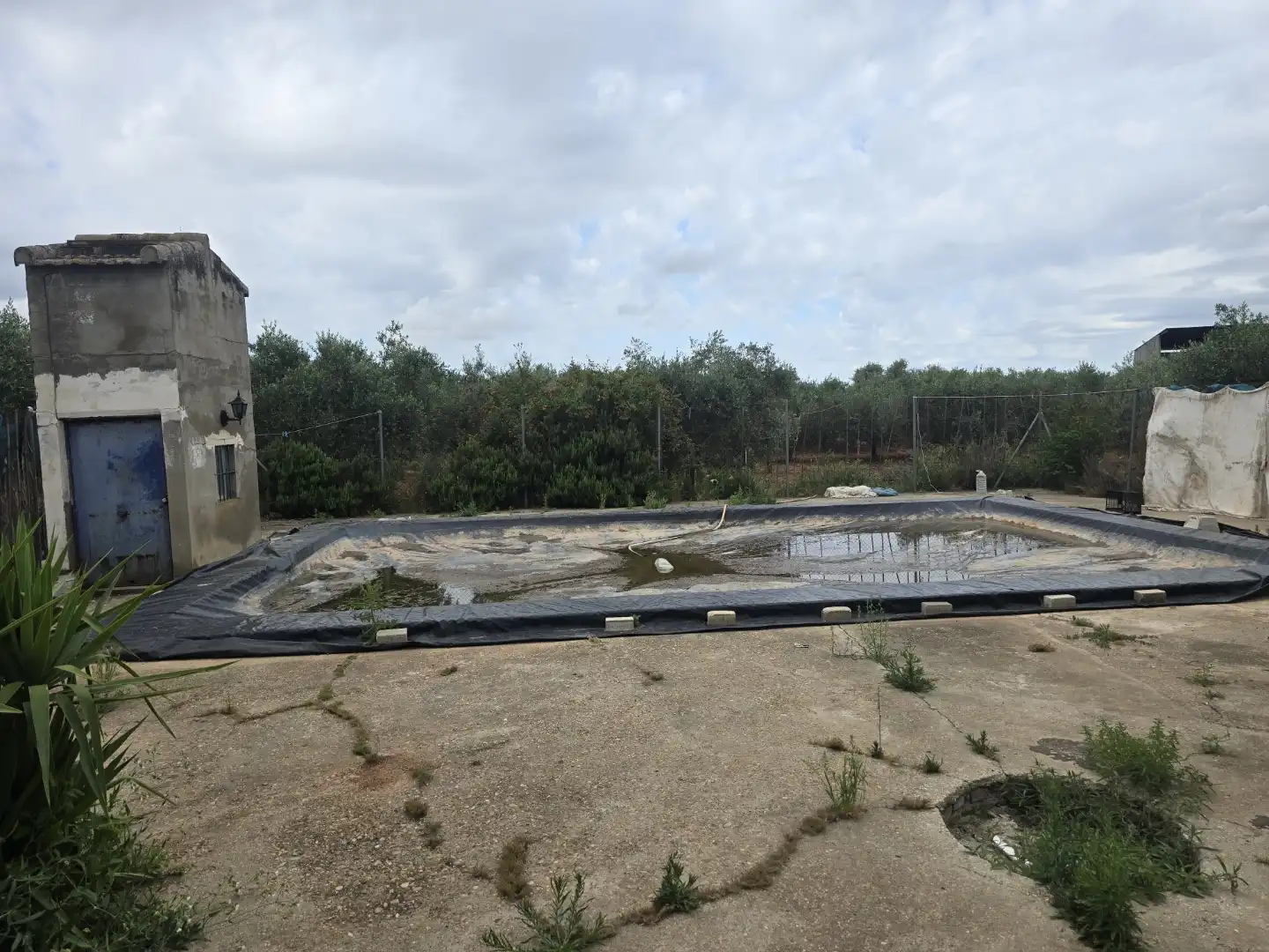 Finca rústica en venta en Calle Este, Écija Finca rústica en venta en Écija con Trastero