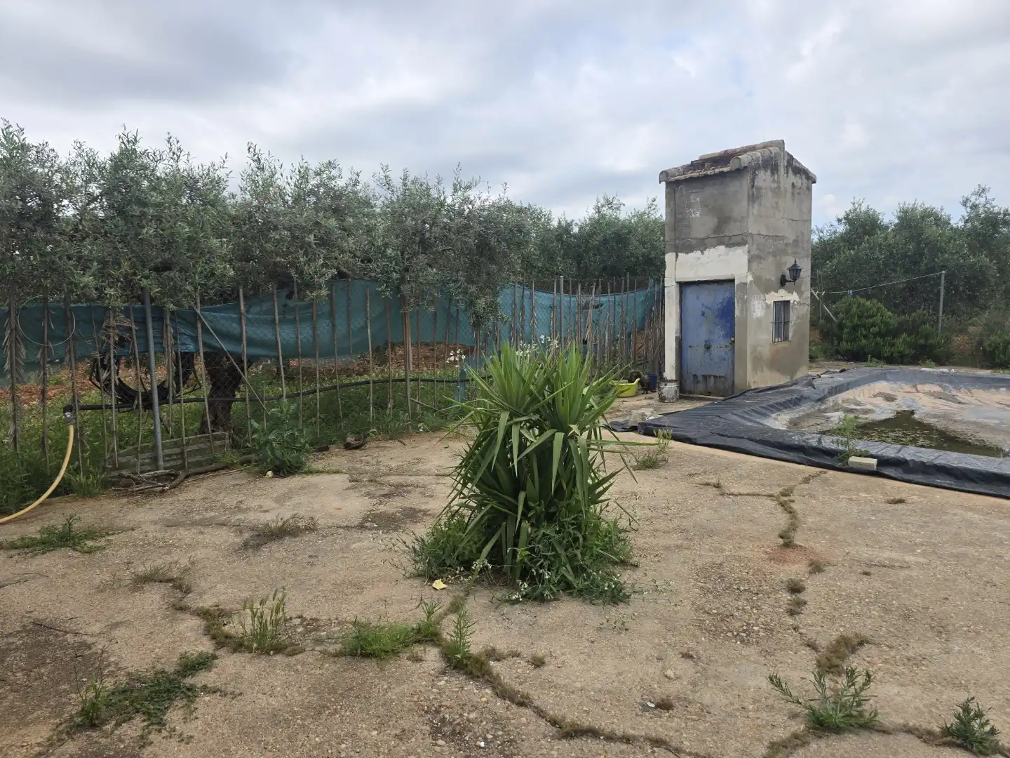 Finca rústica en venta en Calle Este, Écija Finca rústica en venta en Écija con Trastero