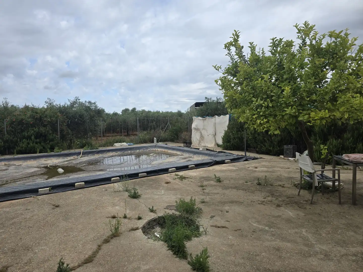 Finca rústica en venta en Calle Este, Écija Piscina de Finca rústica en venta en Écija con Trastero