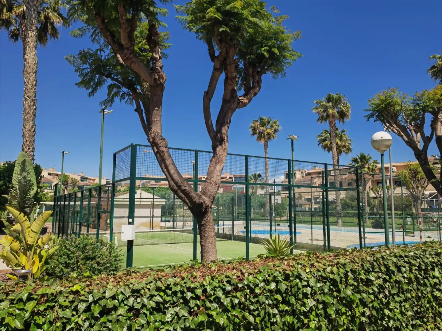 Detached homes for sale in Calle Enric Valor, 12, Alicante Golf Exterior view of Detached homes for sale in Alicante / Alacant with Air Conditioner, Terrace and Swimming Pool