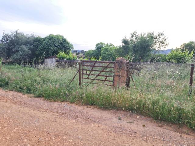 Terreno en Venta en Lugar Diseminado, 571 en Fuenlabrada de los Montes