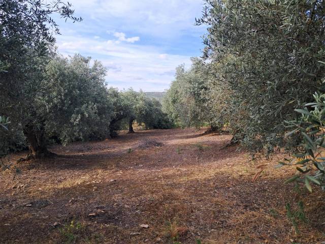 Terreno en Venta en Plaza los Quinones, 42 en Fuenlabrada de los Montes