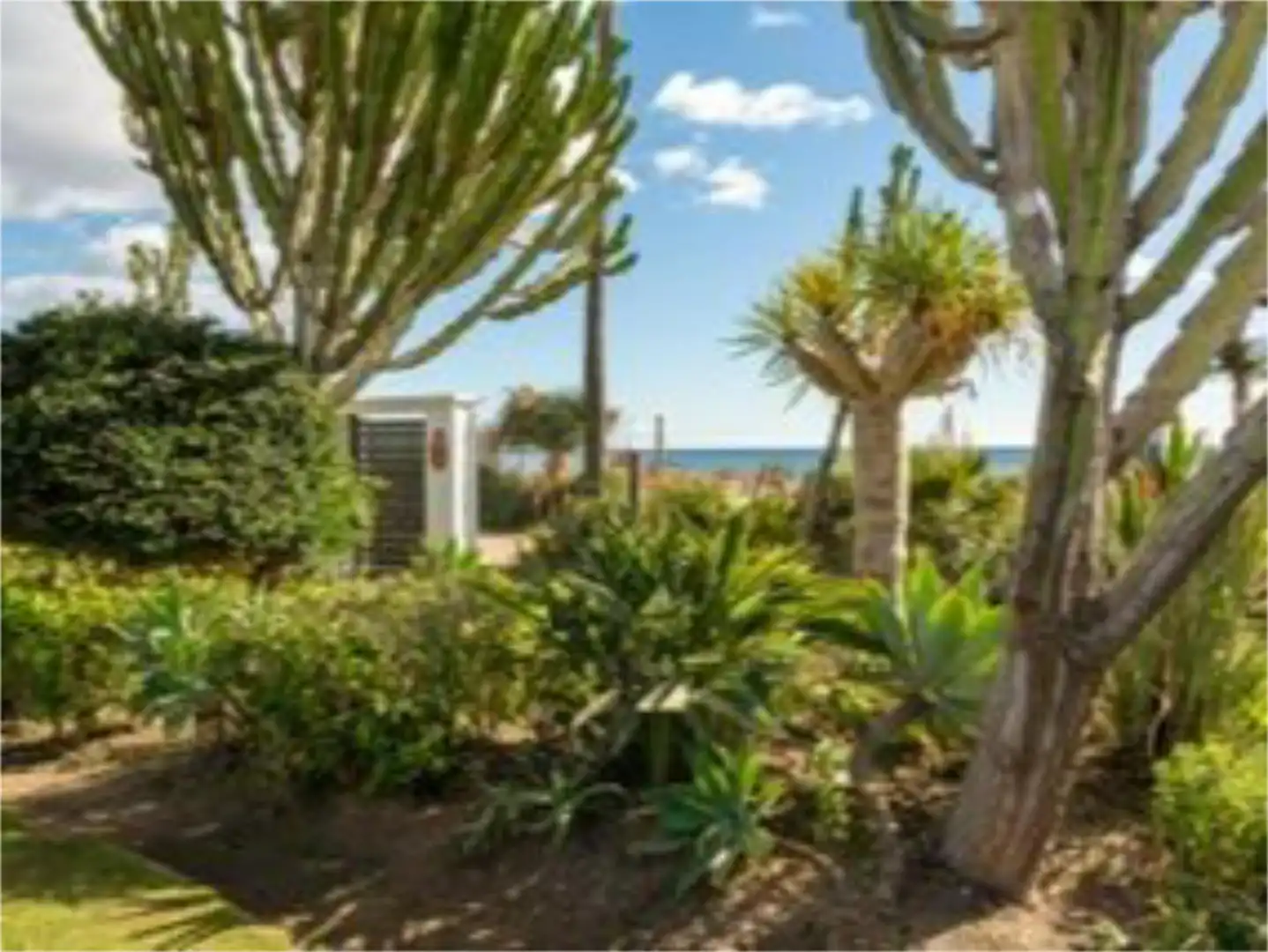 Garden of Flat for rent in Estepona  with Air Conditioner, Heating and Private garden