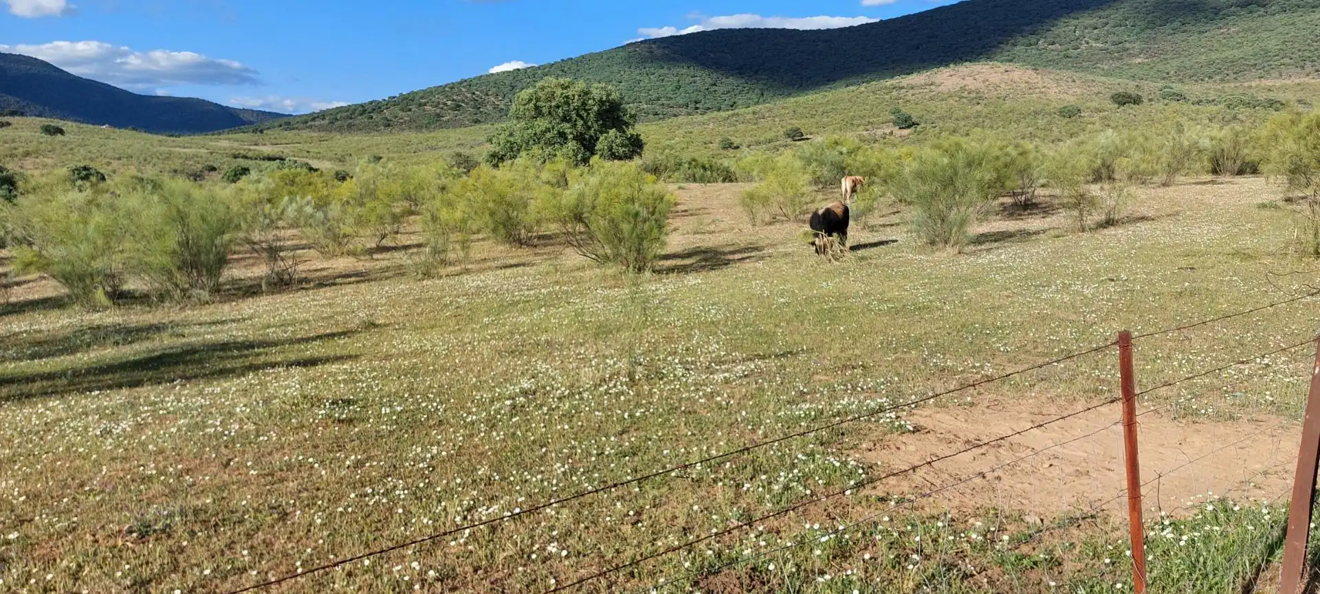 Dúplex en venta en Plaza del Liano, 4, Conquista de la Sierra Dúplex en venta en Conquista de la Sierra con Calefacción