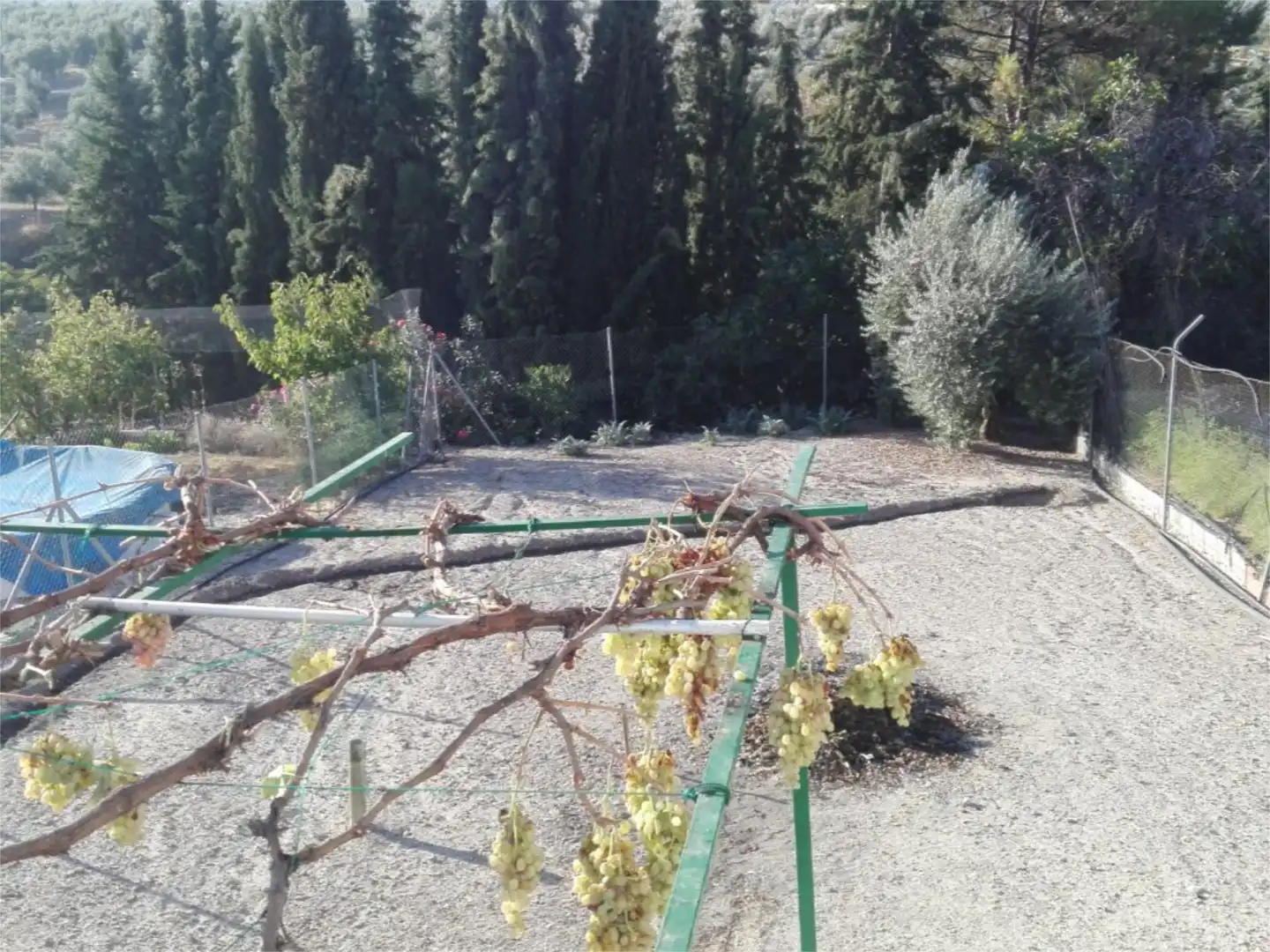 Houses for sale in Calle San Fernando, 8, Villanueva del Arzobispo Garden of Houses for sale in Villanueva del Arzobispo with Air Conditioner and Terrace