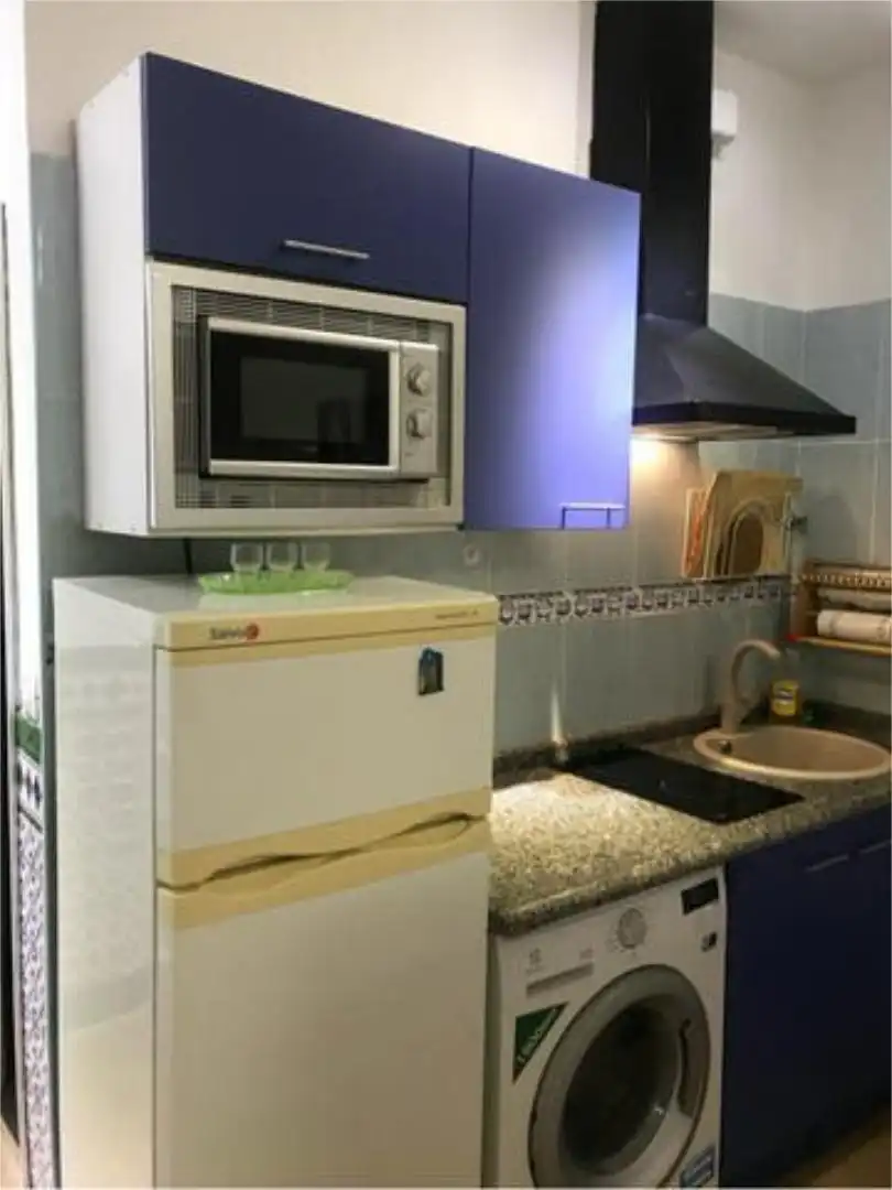 Kitchen of Study for rent in Las Palmas de Gran Canaria  with Terrace and Furnished