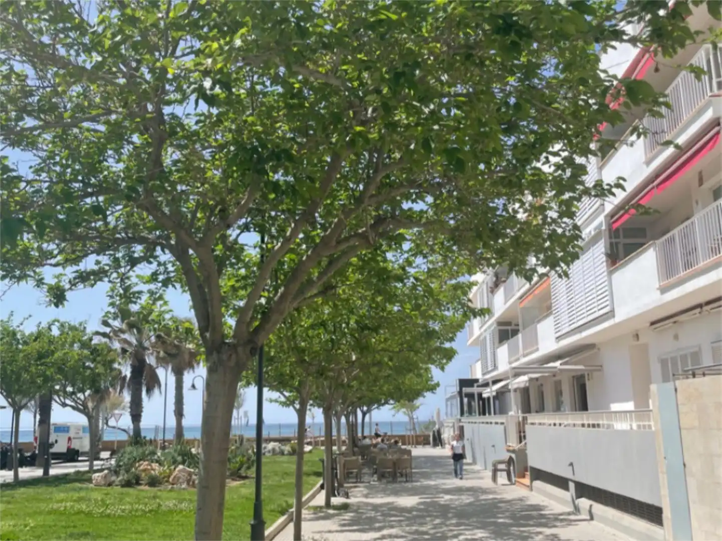 Vista exterior de Piso en venta en  Palma de Mallorca con Aire acondicionado y Piscina