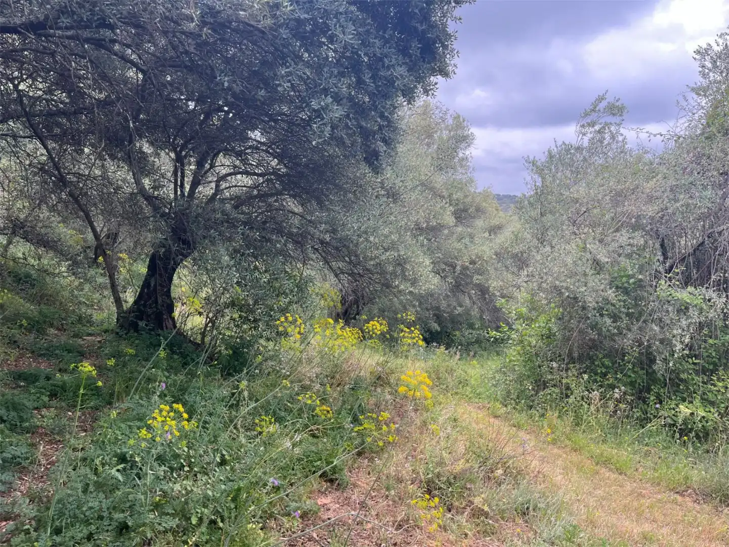 Wohnung zum Verkauf in Aldea el Collado, 2, Alájar Wohnung zum Verkauf in Alájar mit Heizung, Privatgarten und Abstellraum