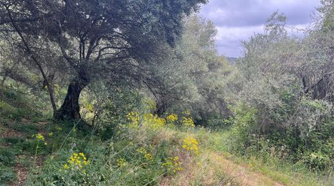 Foto 2 de Pis en venda a Aldea el Collado, 2, Alájar, Huelva
