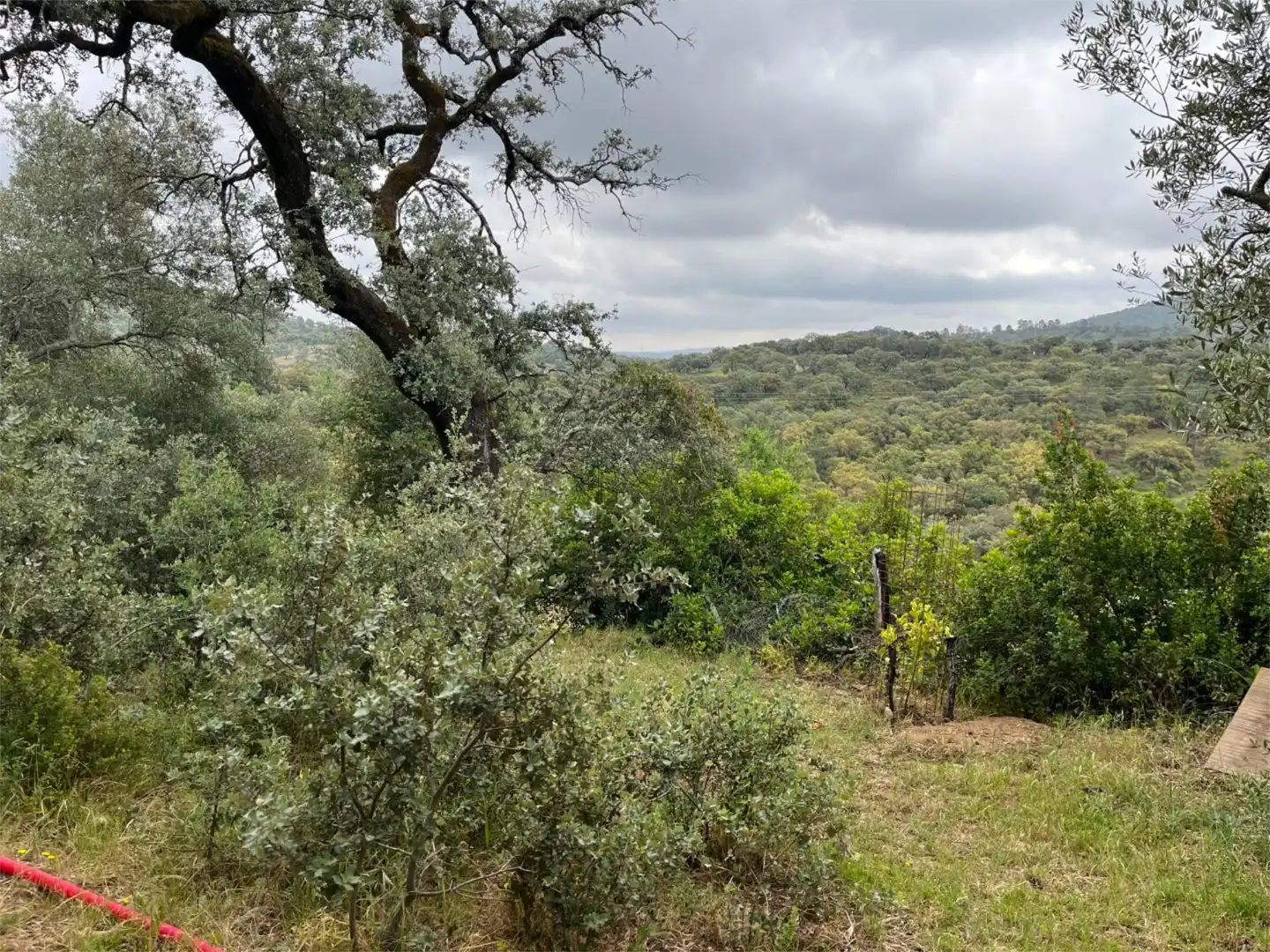 Wohnung zum Verkauf in Aldea el Collado, 2, Alájar Wohnung zum Verkauf in Alájar mit Heizung, Privatgarten und Abstellraum