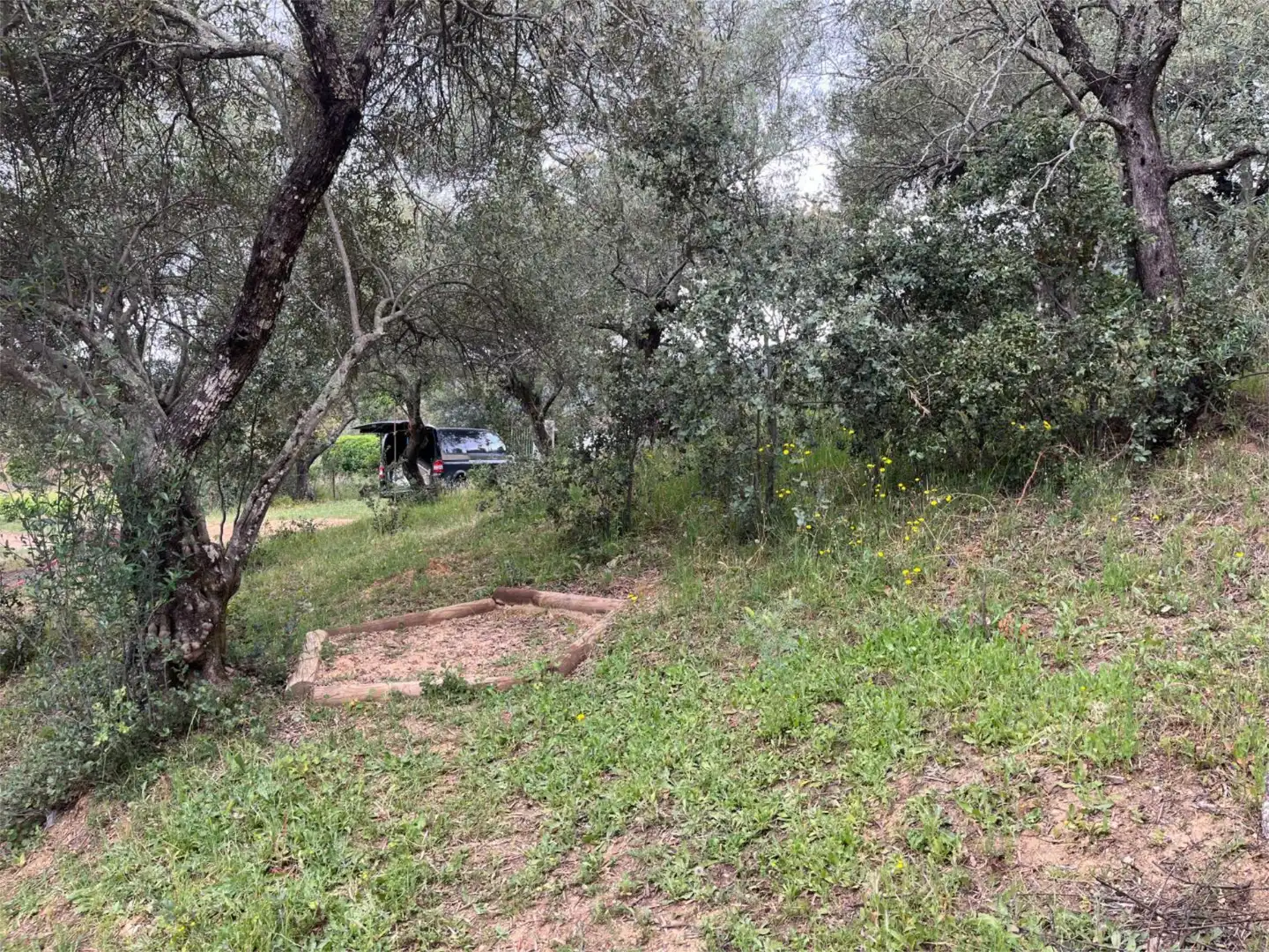 Wohnung zum Verkauf in Aldea el Collado, 2, Alájar Wohnung zum Verkauf in Alájar mit Heizung, Privatgarten und Abstellraum