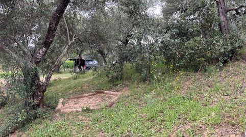 Foto 4 de Pis en venda a Aldea el Collado, 2, Alájar, Huelva