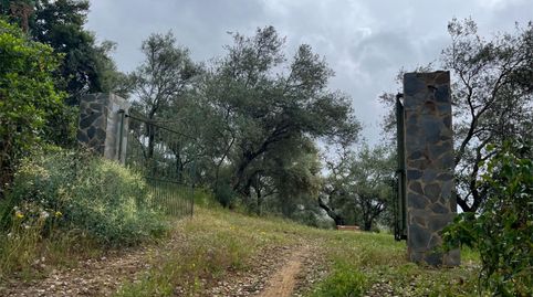 Foto 5 de Pis en venda a Aldea el Collado, 2, Alájar, Huelva