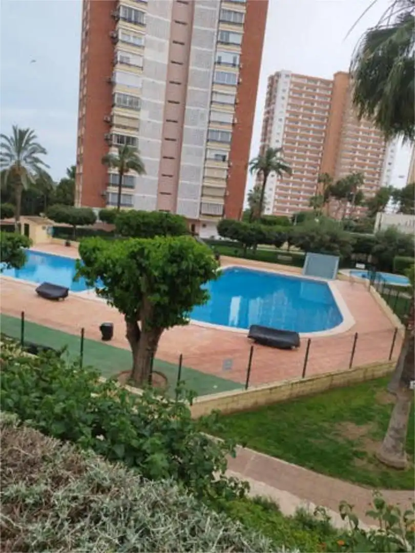 Piscina de Apartamento de alquiler en Benidorm con Jardín privado, Terraza y Piscina