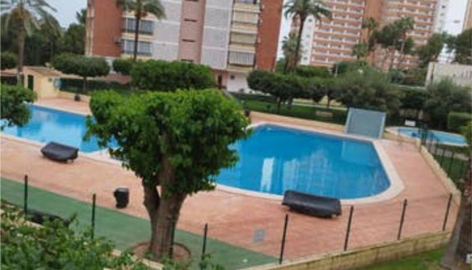 Apartamento de alquiler en Foietes, Benidorm - imagen 1 Foto 1 de Apartamento de alquiler en Foietes, Benidorm