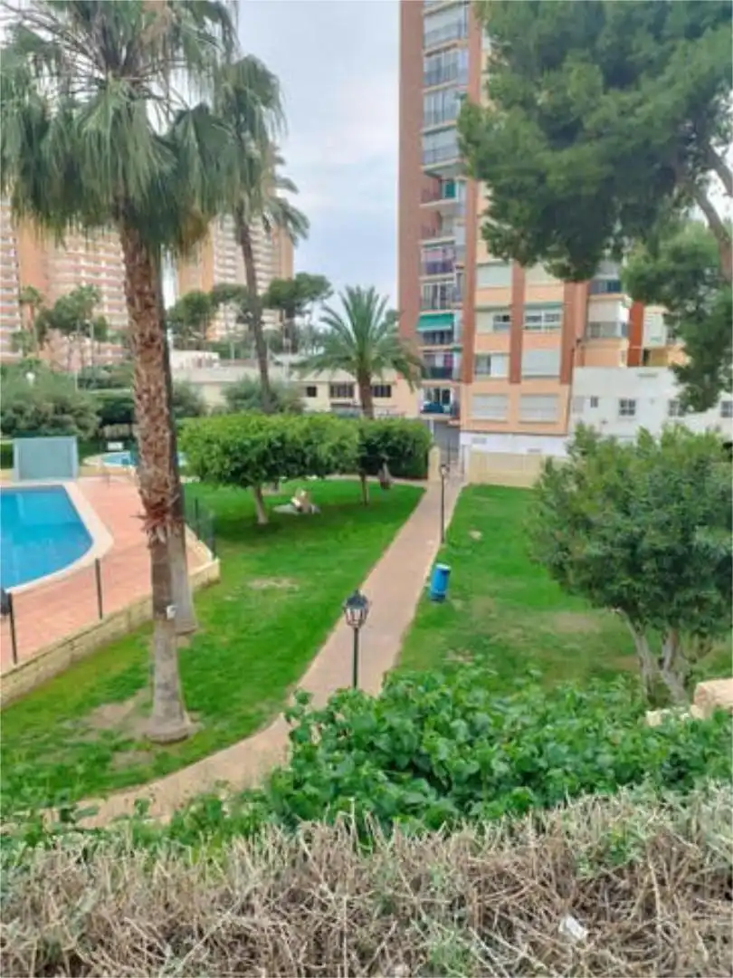 Exterior view of Apartments for rent in Benidorm  with Terrace and Swimming Pool